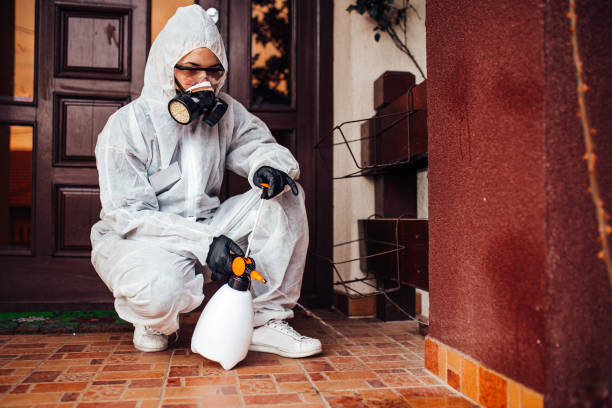 Attic and Crawl Space Rodent Treatment in Forest