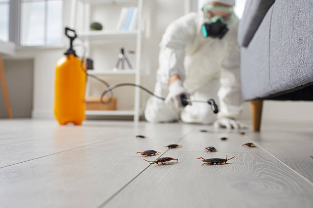 Commercial Rodent Management in Forest